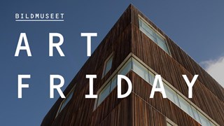 Art Friday på Bildmuseet
