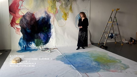 Film: Désirée Burenstrand Schyman