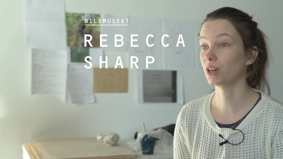 Film: Rebecca Sharp