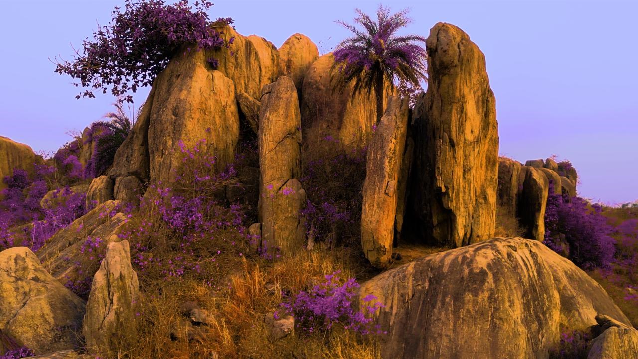 Raqs Media Collective