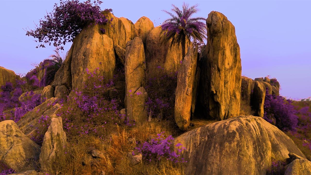 AI and the Paradox of Agency