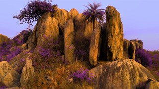 AI and the Paradox of Agency