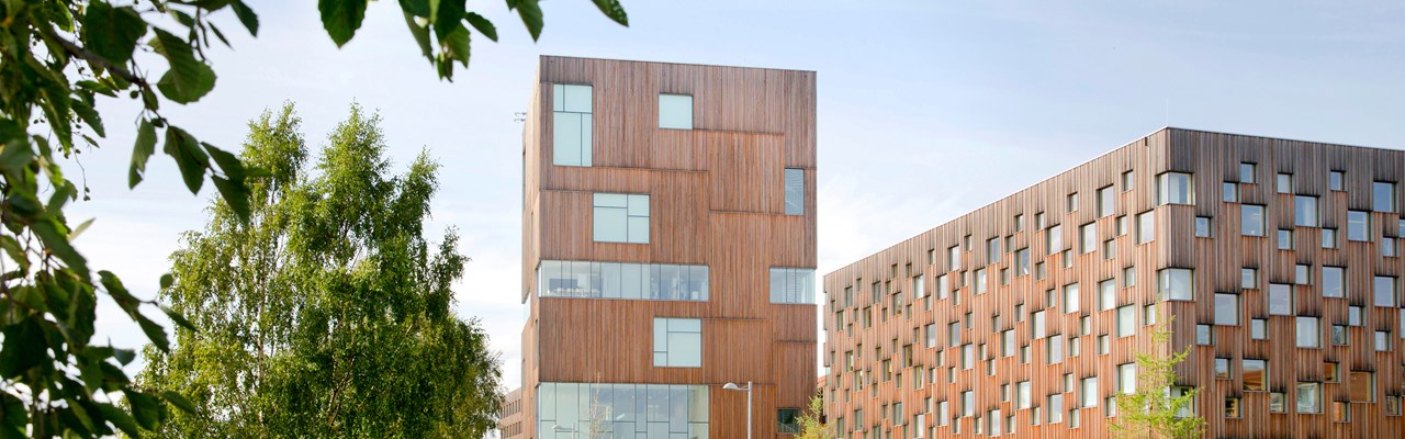 Bildmuseet på Konstnärligt campus
