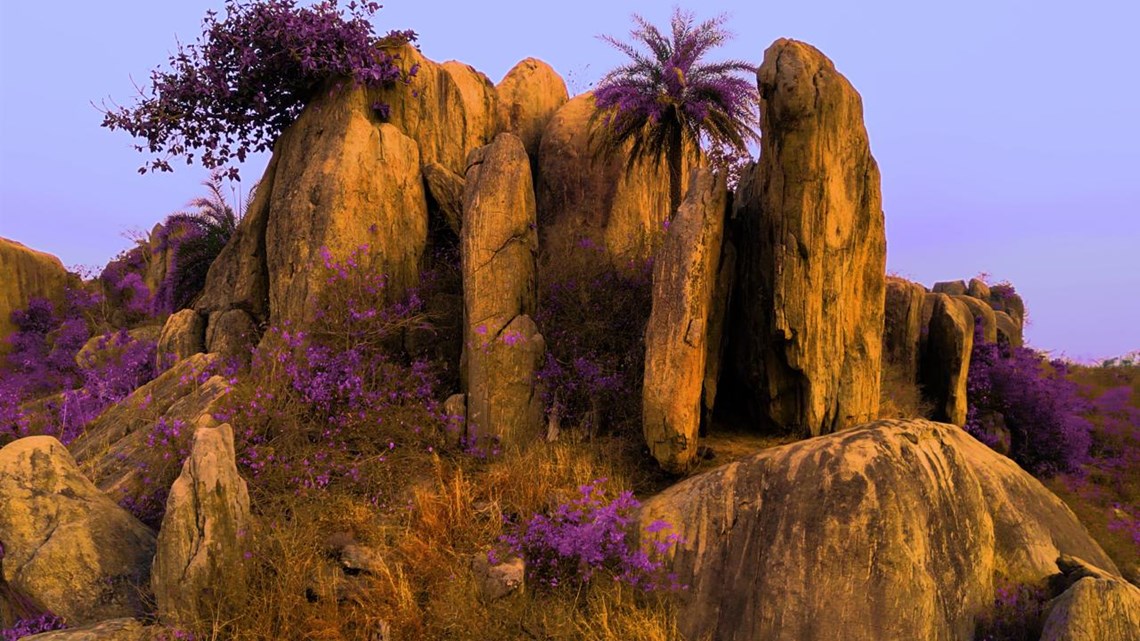 Raqs Media Collective, Cavalcade, (still), 2025. Courtesy of the artists.