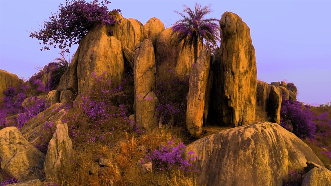 Raqs Media Collective, Cavalcade, (still), 2025. Courtesy of the artists.