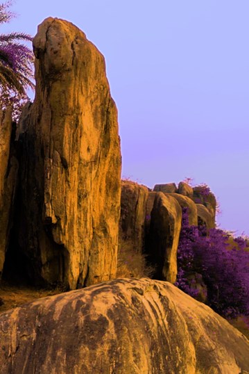 Raqs Media Collective, Cavalcade, (still), 2025. Courtesy of the artists.