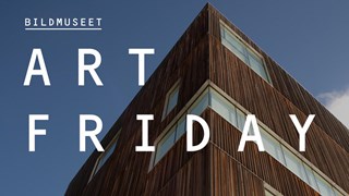 Art Friday at Bildmuseet