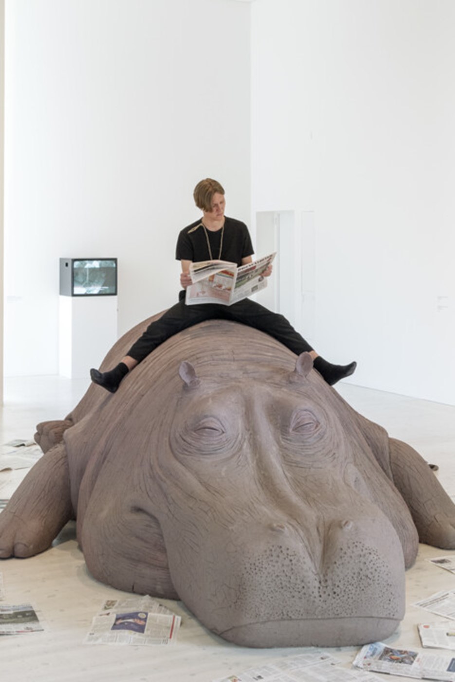 Vy från Bildmuseets utställning Animalisk / Konst över arter och existenser.