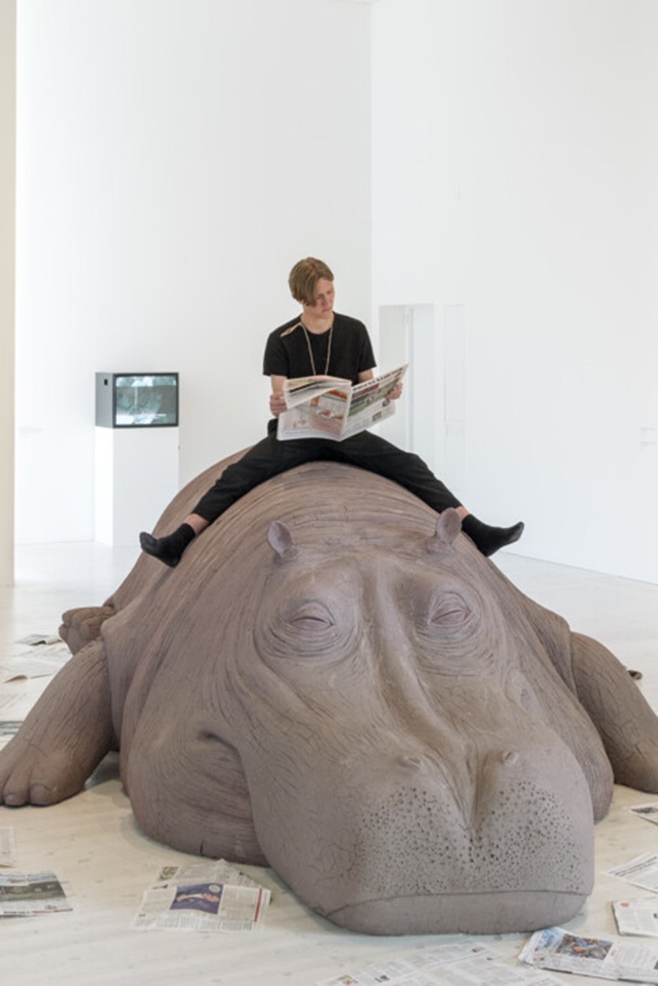 Animalisk / Konst över arter och existenser, Vy från utställningen, Bildmuseet 2019