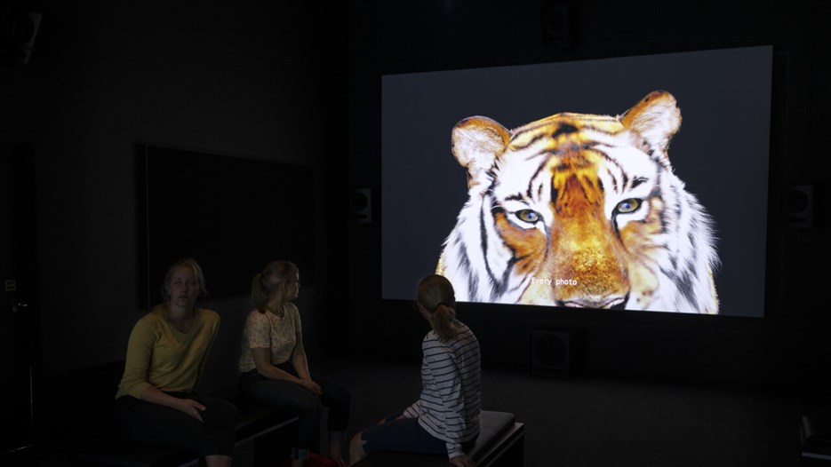 Vy från Bildmuseets utställning Animalisk / Konst över arter och existenser.