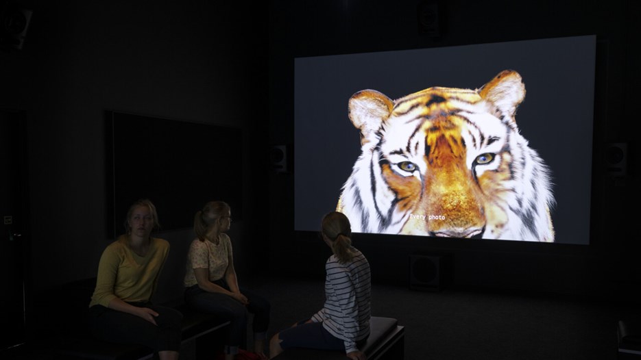 Animalisk / Konst över arter och existenser, Vy från utställningen, Bildmuseet 2019