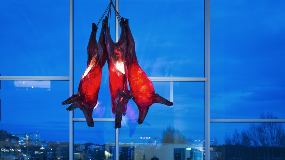 Geir Tore Holm / Fughetta, Vy från utställningen, Bildmuseet 2014-2015. Geir Tore Holm / Fughetta, View from the exhibition, Bildmuseet 2014-2015
