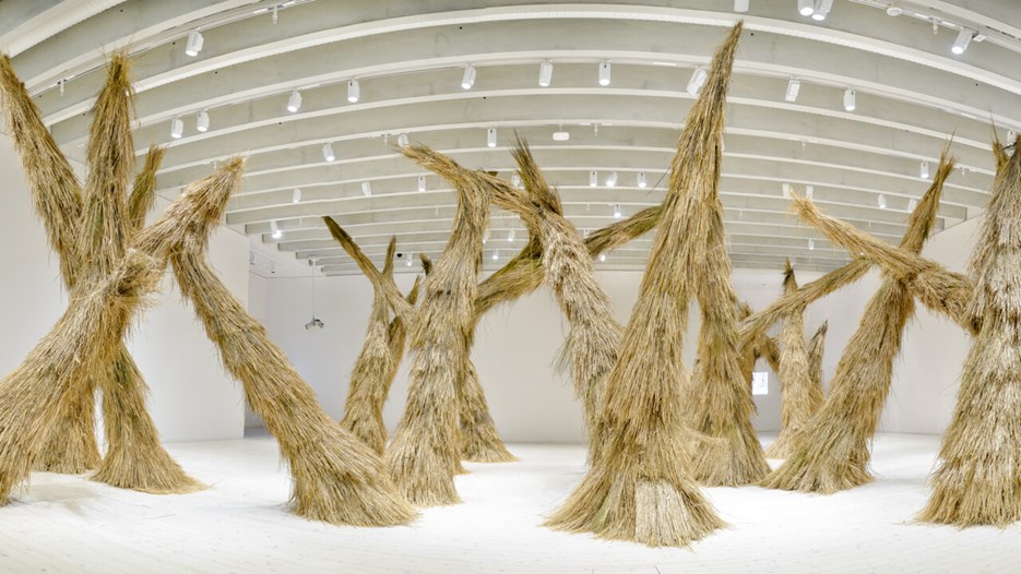 Campanas / Woods, Vy från utställningen, Bildmuseet 2014-2015. Campanas / Woods, View from the exhibition, Bildmuseet 2014-2015