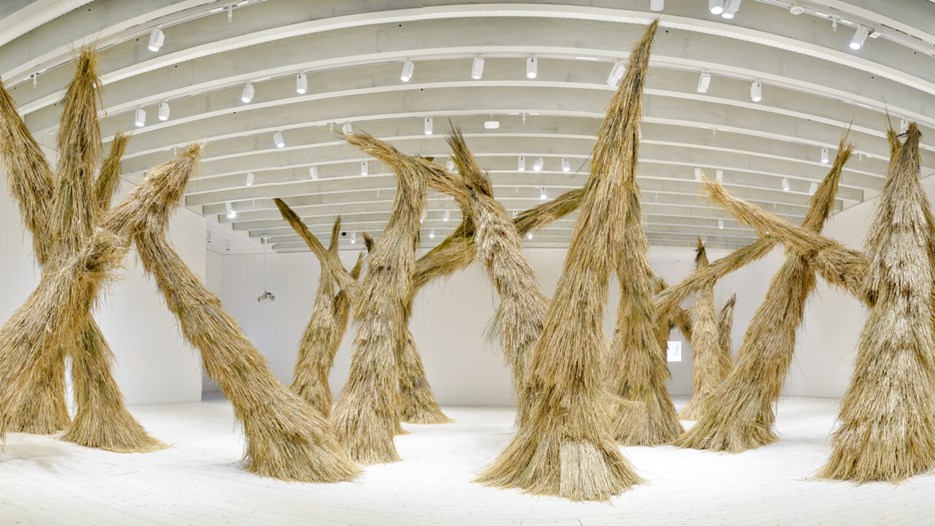 Campanas / Woods, Vy från utställningen, Bildmuseet 2014-2015. Campanas / Woods, View from the exhibition, Bildmuseet 2014-2015