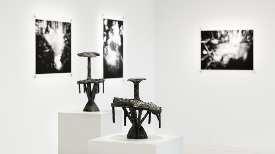 Iwo Myrin / Minnen från tajgan, Bildmuseet 2021-2022
