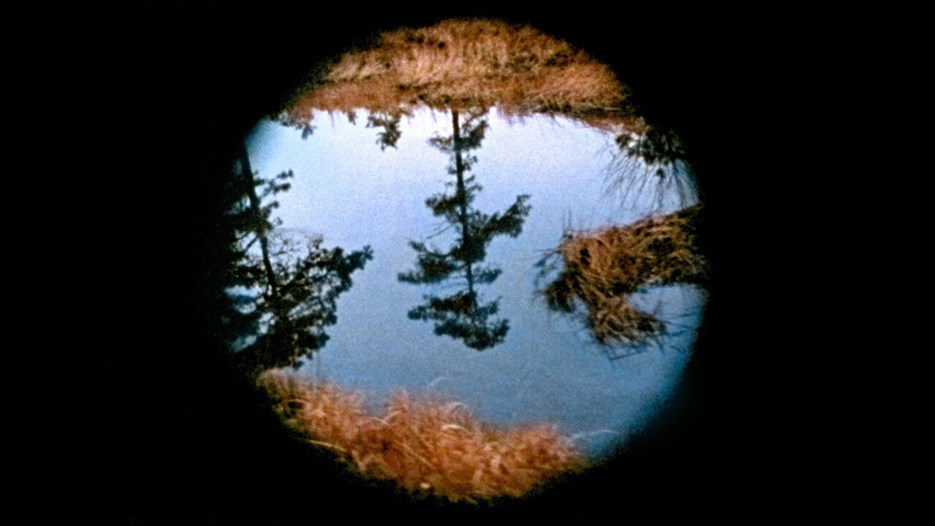Nancy Holt, Pine Barrens [still from film], 1975