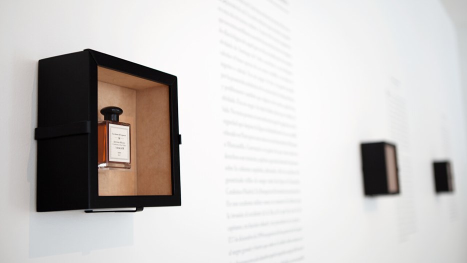 Reynier Leyva Novo / El polvo, la sangre, el sueño común, Detalj från utställningen, Bildmuseet, 2013