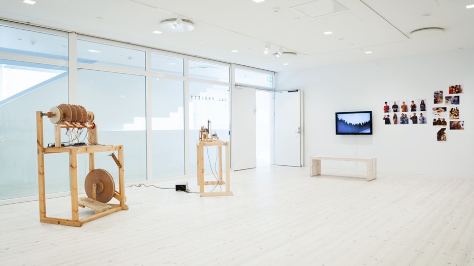 Owl Project, Vy från utställningen, Bildmuseet, 2013