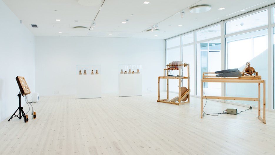 Owl Project, Vy från utställningen, Bildmuseet, 2013