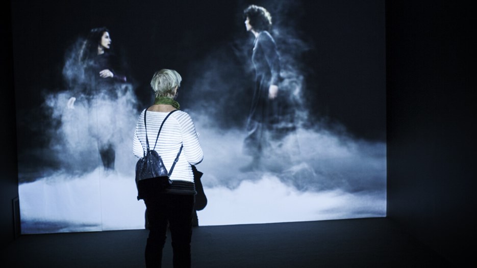 Theatrical Fields, Vy från utställningen, Bildmuseet, 2013-2014