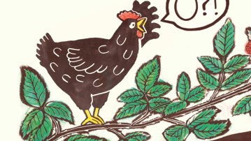 Julia Groth, ur bilderboken Var är mitt ägg? (2025), utsedd till Årets svenska bilderbok. © Julia Groth.