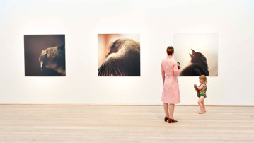 Vernissage för Bildmuseets tre sommarutställningar 2011 – Spare Time, Edith Marie Pasquier / 13 983 Birds och Alla har rätt till trygghet. Opening day of Bildmuseet’s three summer exhibitions in 2011 – Spare Time, Edith Marie Pasquier / 13 983 Birds and Everybody is Entitled to Security.