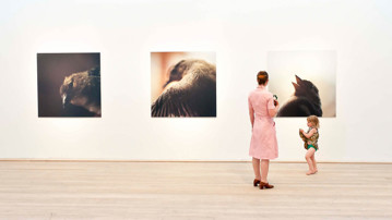 Vernissage för Bildmuseets tre sommarutställningar 2011 – Spare Time, Edith Marie Pasquier / 13 983 Birds och Alla har rätt till trygghet. Opening day of Bildmuseet’s three summer exhibitions in 2011 – Spare Time, Edith Marie Pasquier / 13 983 Birds and Everybody is Entitled to Security.