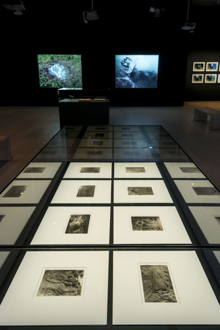 Ana Mendieta / Omsluten av tid och historia, Vy från utställningen, Bildmuseet 2017
