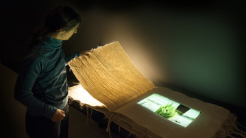 Amar Kanwar / The Sovereign Forest, Vy från utställningen, Bildmuseet 2017-2018