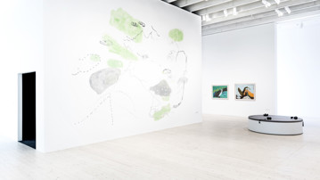Jumana Emil Abboud / Hästen, fågeln, trädet och stenen, Vy från utställningen, Bildmuseet 2017