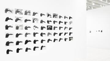 Jochen Lempert / Plötslig vår, Vy från utställningen, Bildmuseet 2018
