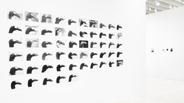 Jochen Lempert / Plötslig vår, Vy från utställningen, Bildmuseet 2018