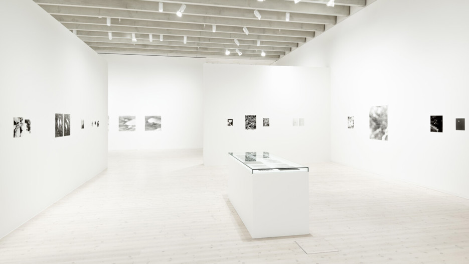 Jochen Lempert / Plötslig vår, Vy från utställningen, Bildmuseet 2018