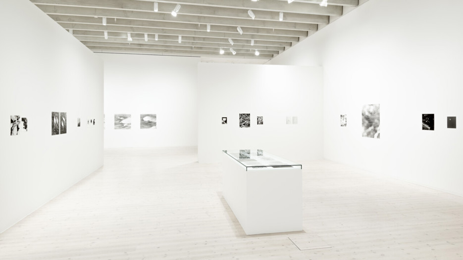 Jochen Lempert / Plötslig vår, Vy från utställningen, Bildmuseet 2018