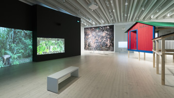 Ekologins visionärer, Vy från utställningen, Bildmuseet 2018