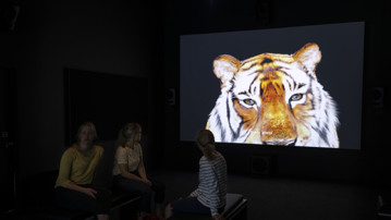 Animalisk / Konst över arter och existenser, Vy från utställningen, Bildmuseet 2019