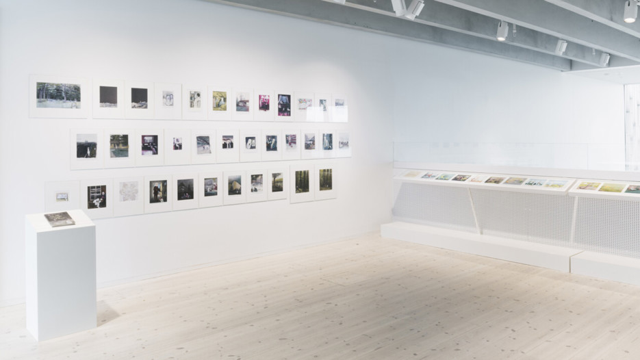 Årets svenska bilderbok / Om detta talar man endast med kaniner, Vy från utställningen, Bildmuseet 2014. Swedish Picture Book of the Year / Topics of Which You Only Speak With Rabbits, View from the exhibition, Bildmuseet 2014.