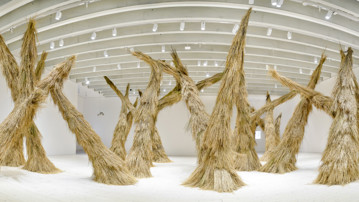 Campanas / Woods, Vy från utställningen, Bildmuseet 2014-2015. Campanas / Woods, View from the exhibition, Bildmuseet 2014-2015