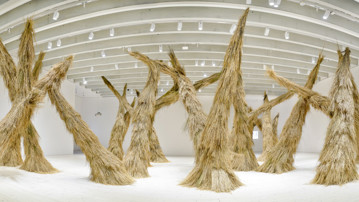 Campanas / Woods, Vy från utställningen, Bildmuseet 2014-2015. Campanas / Woods, View from the exhibition, Bildmuseet 2014-2015
