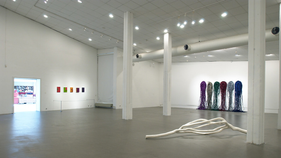 Överblick / Konst från Foundation Cartier pour I´artcontemporain i Paris
