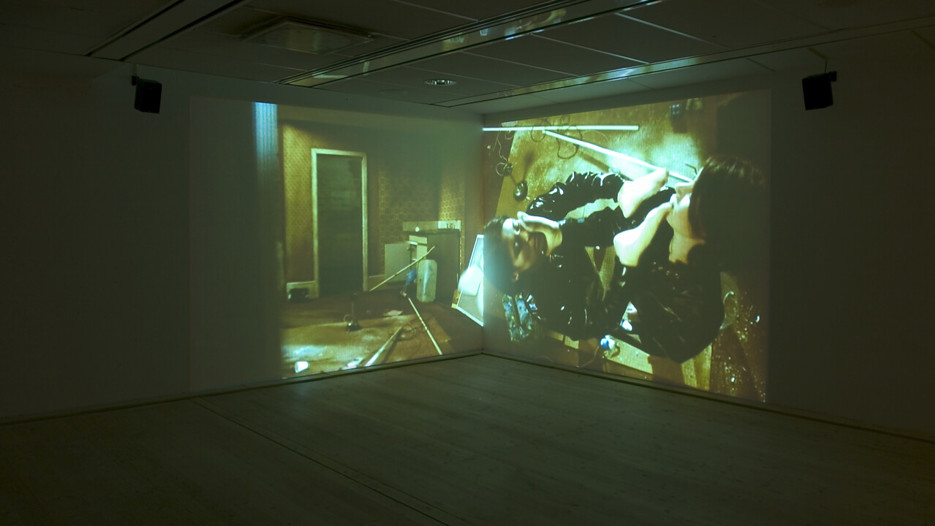 Jane & Louise Wilson / Videoinstallationer
