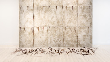 Mandana Moghaddam, What they gonna do with the inevitable growth of sprouts?, Chelgis VI (detalj), 2023